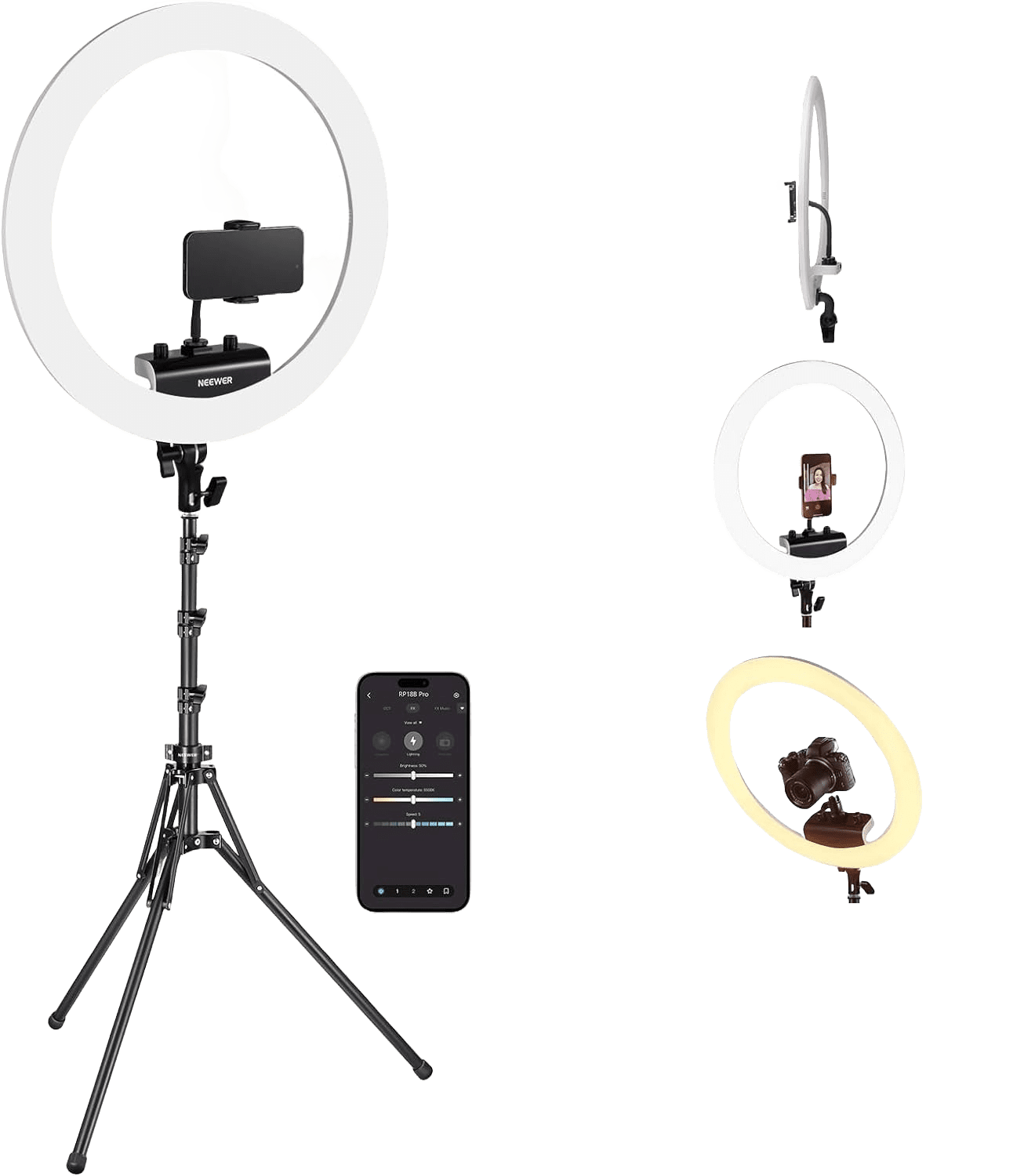 Content Creator | Fan Factory